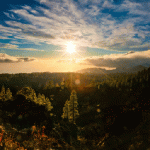 Cosa possiamo fare per sopravvivere?