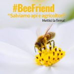 DIAMO UN CASA ALLE API: