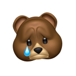 La difficile convivenza con gli orsi nelle Alpi: tra cronaca nera e possibilità