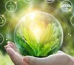 Come rispettare l’AMBIENTE